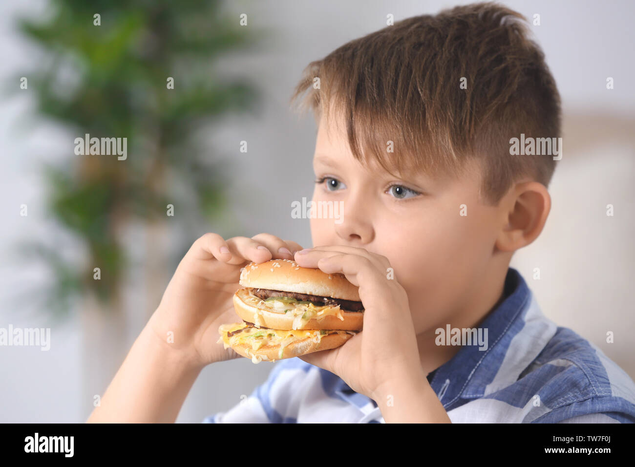 Overweight boy eating burger at home Stock Photo Alamy
