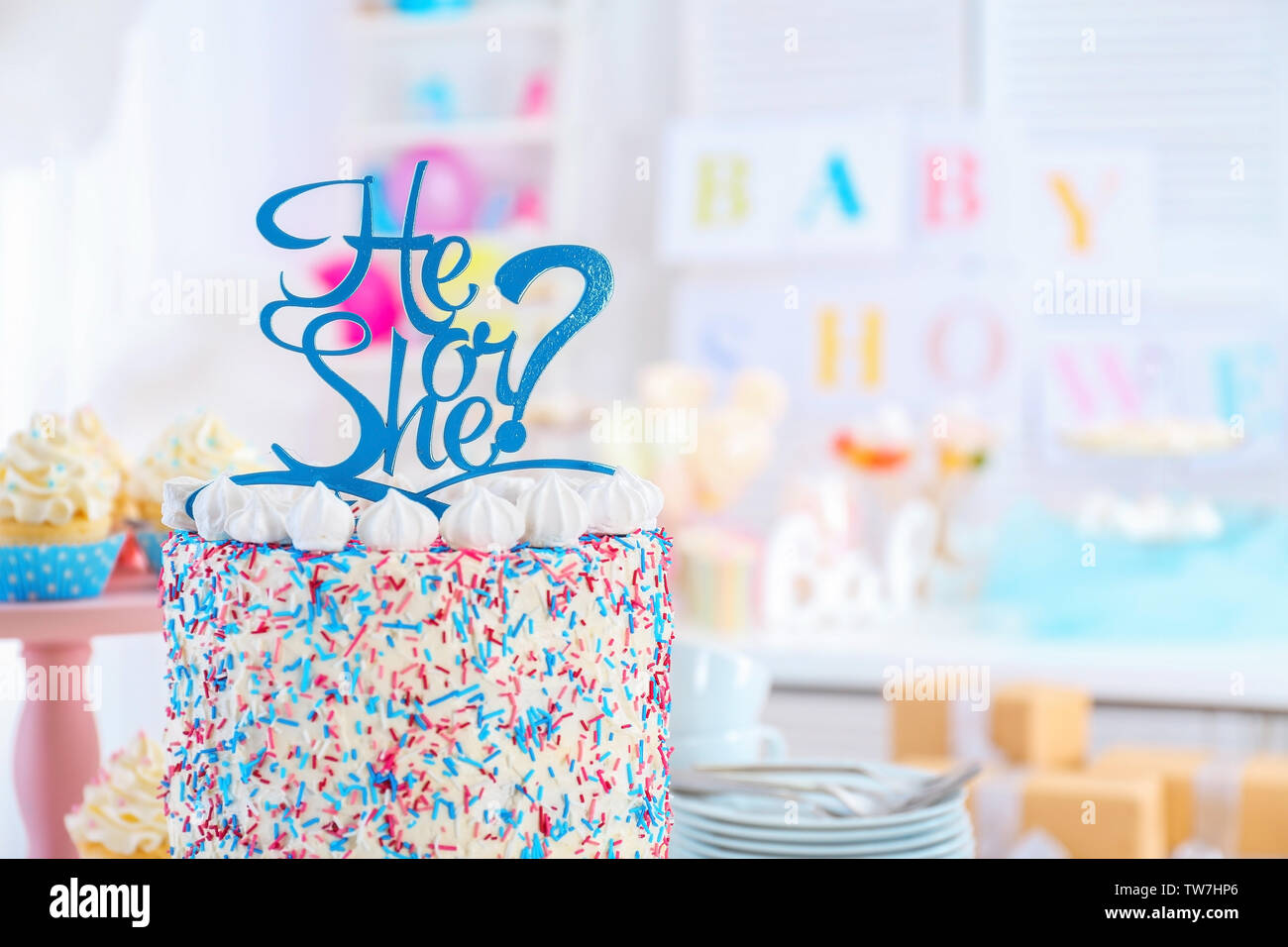 He Or She Cake For Baby Shower Party Closeup Stock Photo Alamy