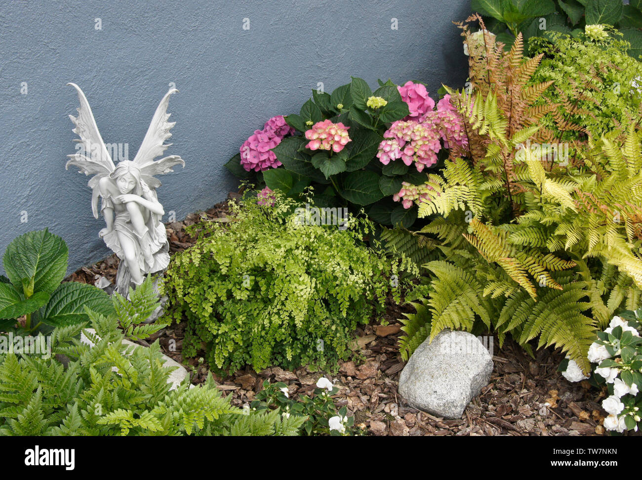 A fairy sculpture sits in a garden of hydrangeas, ferns, and impatiens Stock Photo