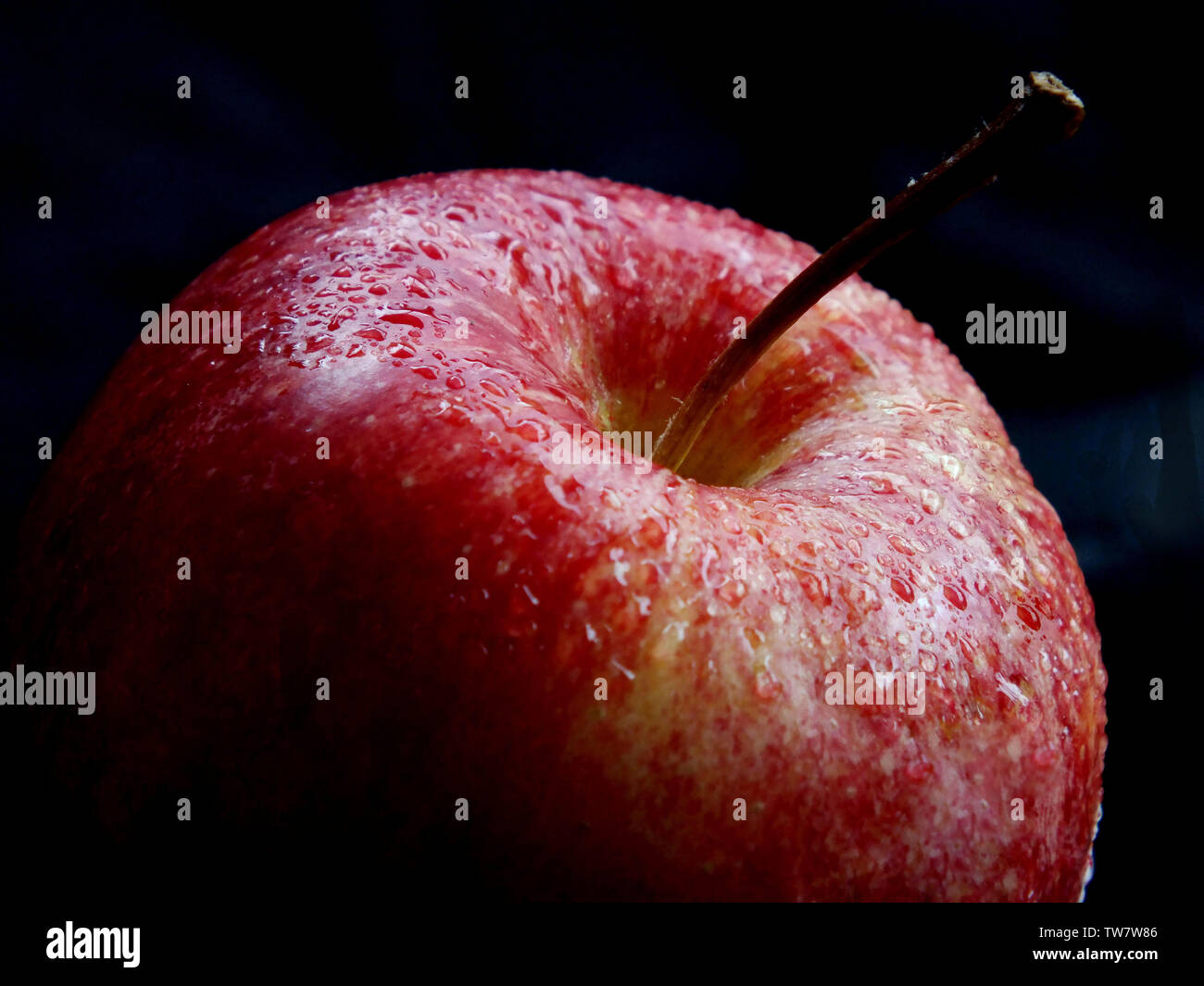 Green fruit, plant, red apple, apple, fruit, organic fruit Stock Photo