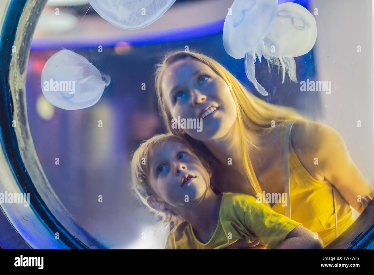 Mom and son watching the jellyfish on blue background in Aquarium Stock