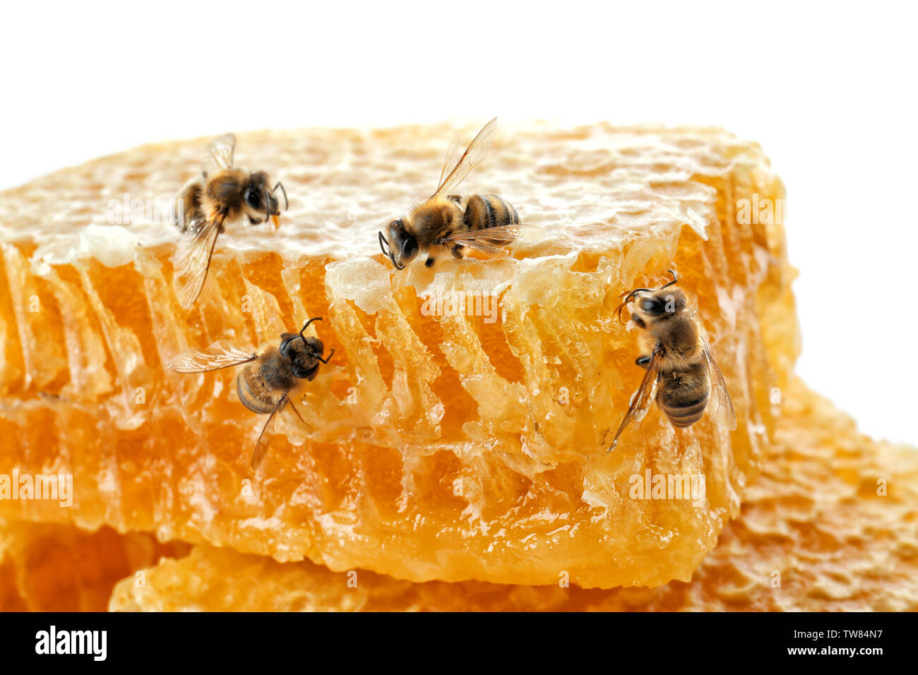 Honeycomb with bees on white background Stock Photo