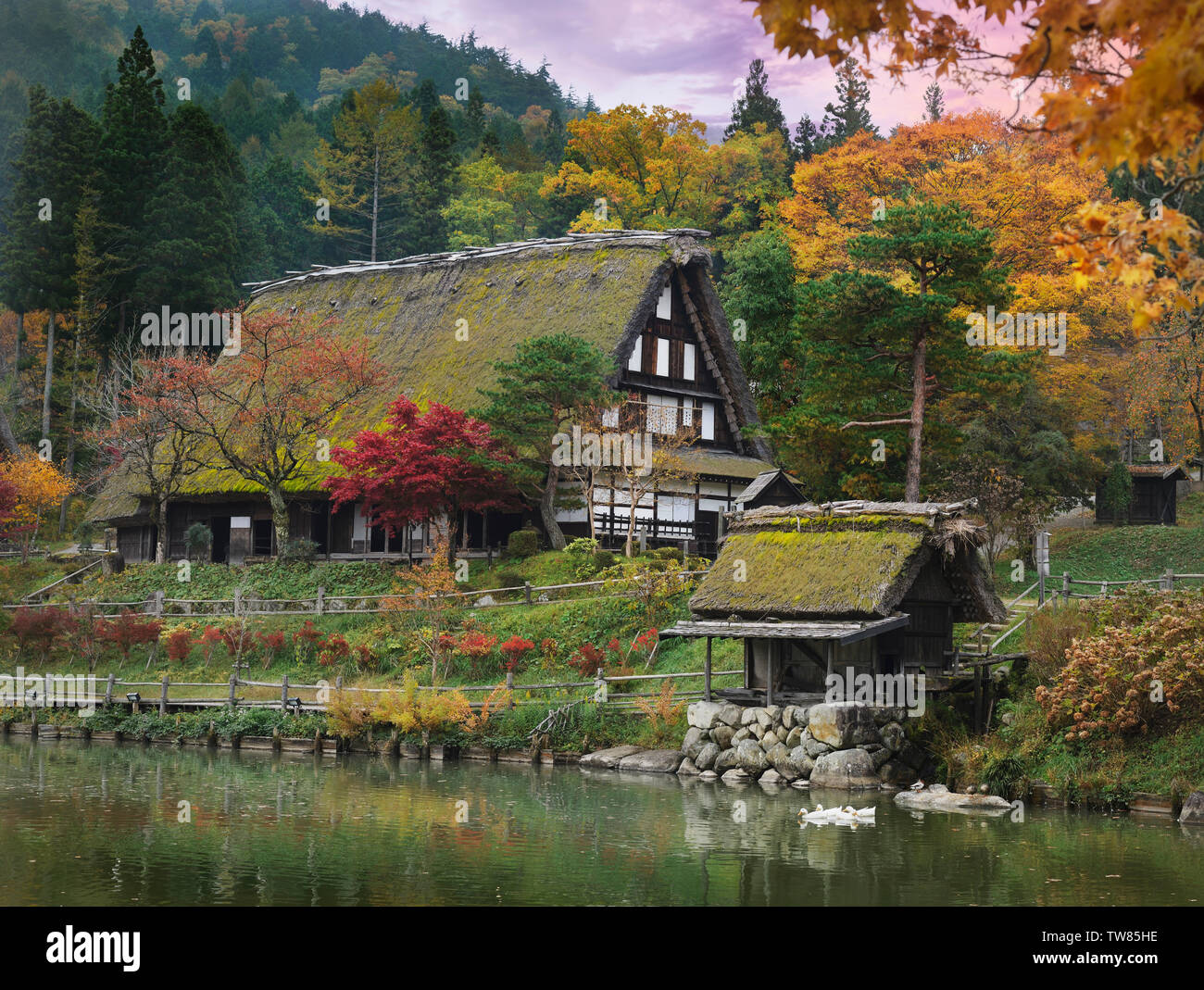 Traditional Japanese Gasshou style farm house with thatched roof and a water mill on a pond at Hida Folk Village, Hida Minzoku Mura, Takayama, Japan Stock Photo