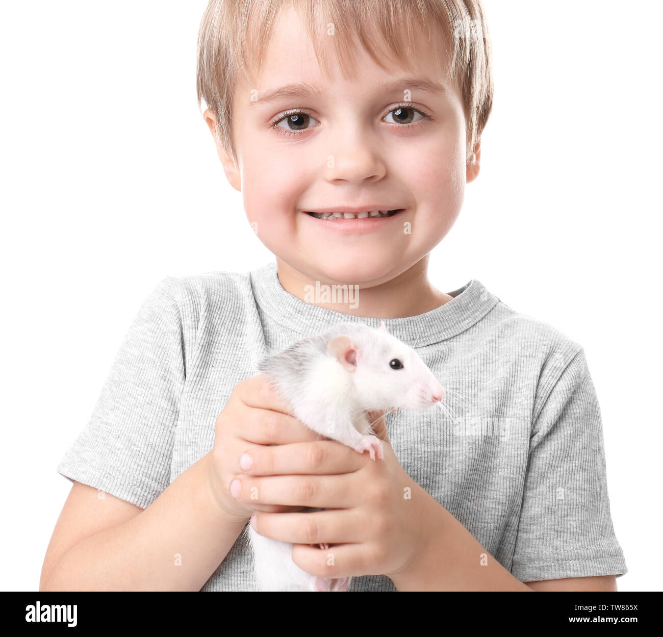 Pet rats for fashion kids