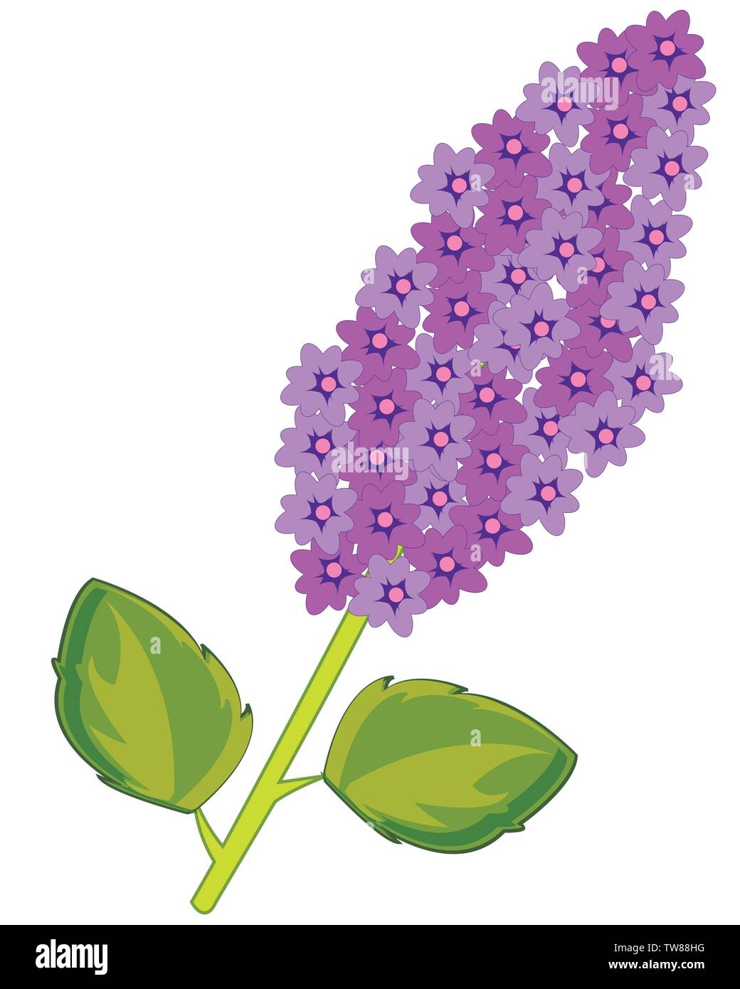 Vector illustration of the branch tree lilac with flower Stock Vector ...