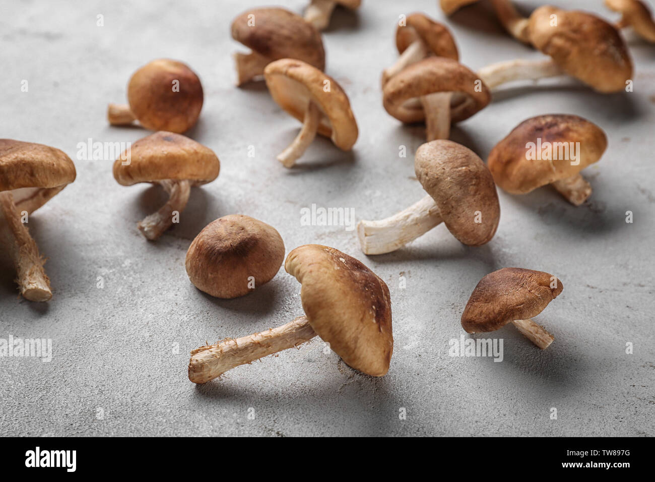 Jinsiy aloqa yosh qizlar ozlarining mushuklarini korsatishadi Qoshiqchi Alsou ishtirokidagi porno video