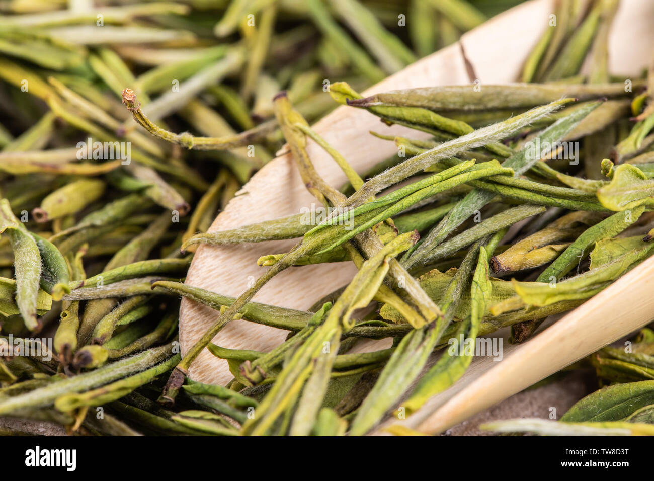 Garden Angelica Tea High Resolution Stock Photography and Images Alamy