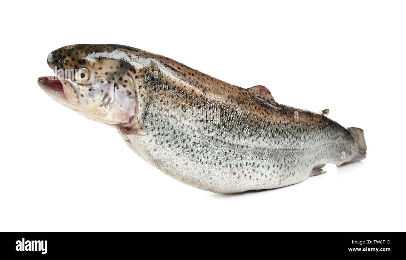 Rainbow trout on white background Stock Photo