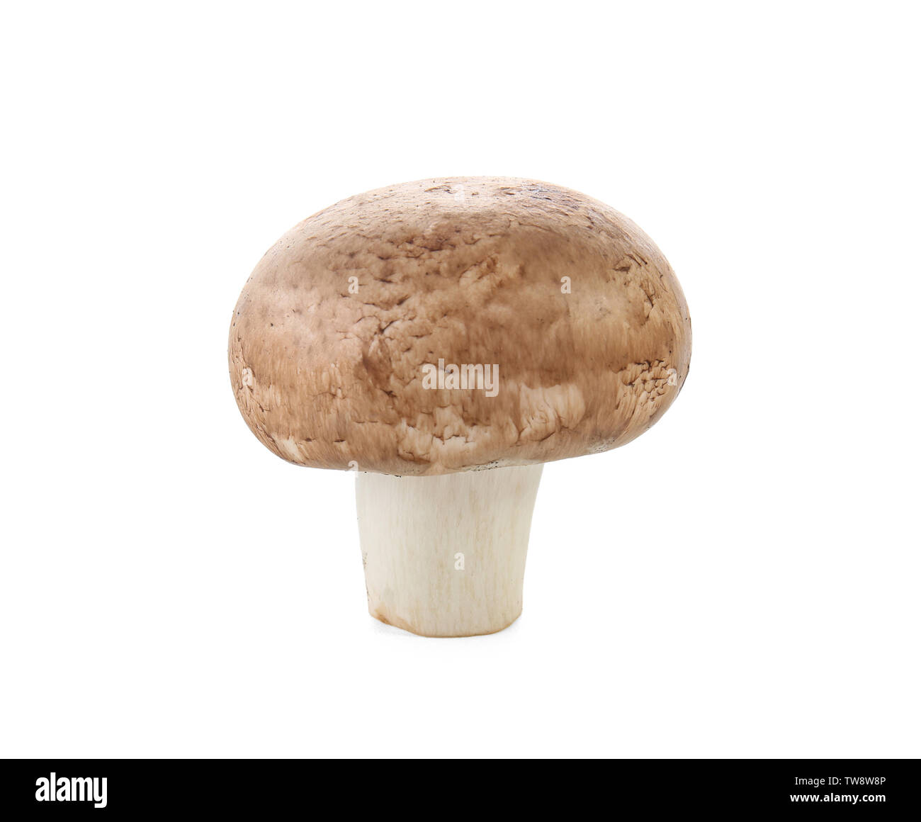 Raw cremini mushroom on white background Stock Photo Alamy