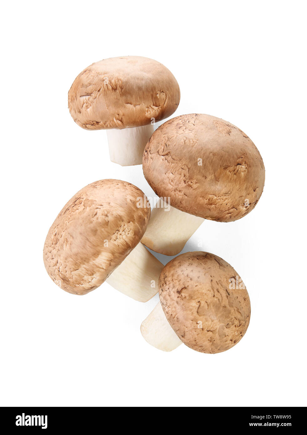 Raw cremini mushrooms on white background Stock Photo Alamy