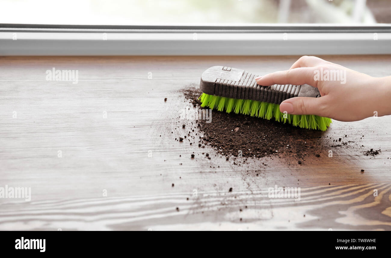 Woman cleaning window sill with brush Stock Photo Alamy
