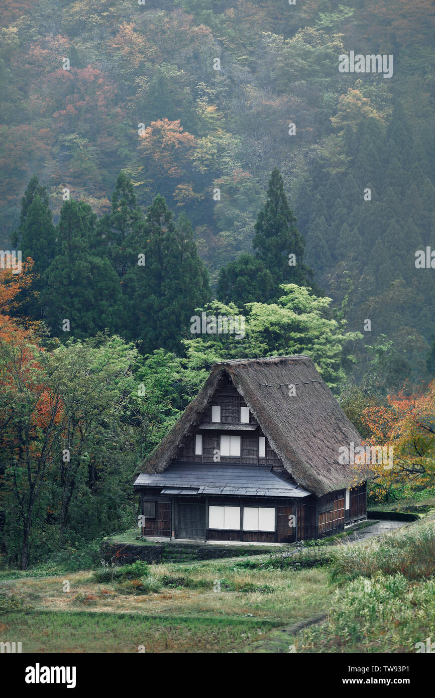 Traditional Japanese Gassho-style wooden rural house with thatched roof in Ainokura mountain village autumn scenery. Toyama prefecture, Japan. Gasshō- Stock Photo