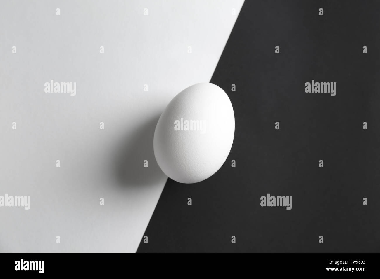 Chicken egg on white and black background Stock Photo - Alamy