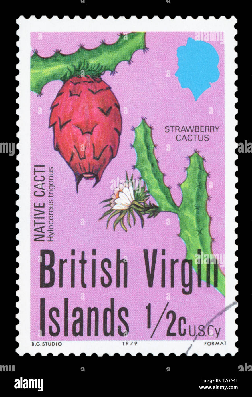 BRITISH VIRGIN ISLANDS - CIRCA 1979: A stamp printed in Britain shows Virgin Islands, Strawberry Cactus, circa 1979. Stock Photo