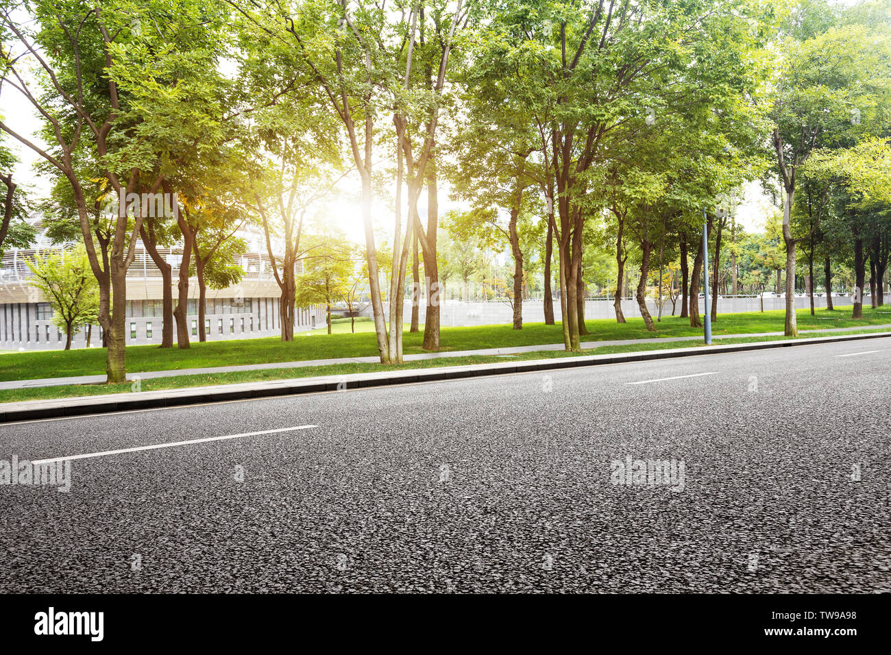Empty asphalt road with green trees Stock Photo - Alamy