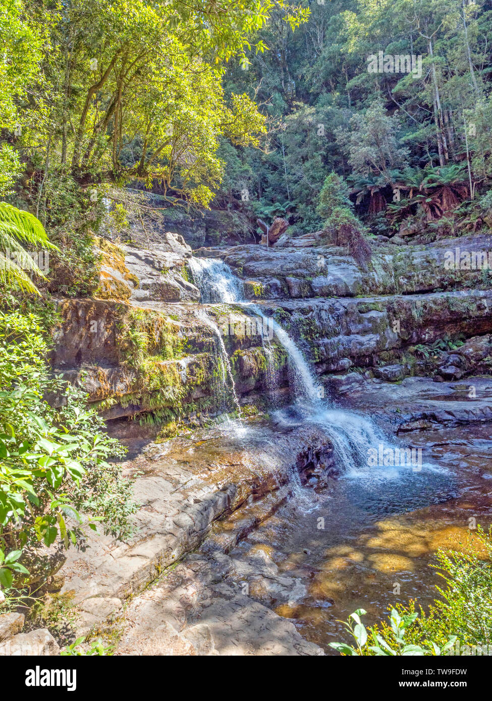 Victoria Falls, aka the Liffey Falls, is the major waterfall of a series of four on the Liffey River, in the Midlands region of Tasmania, Australia. Stock Photo