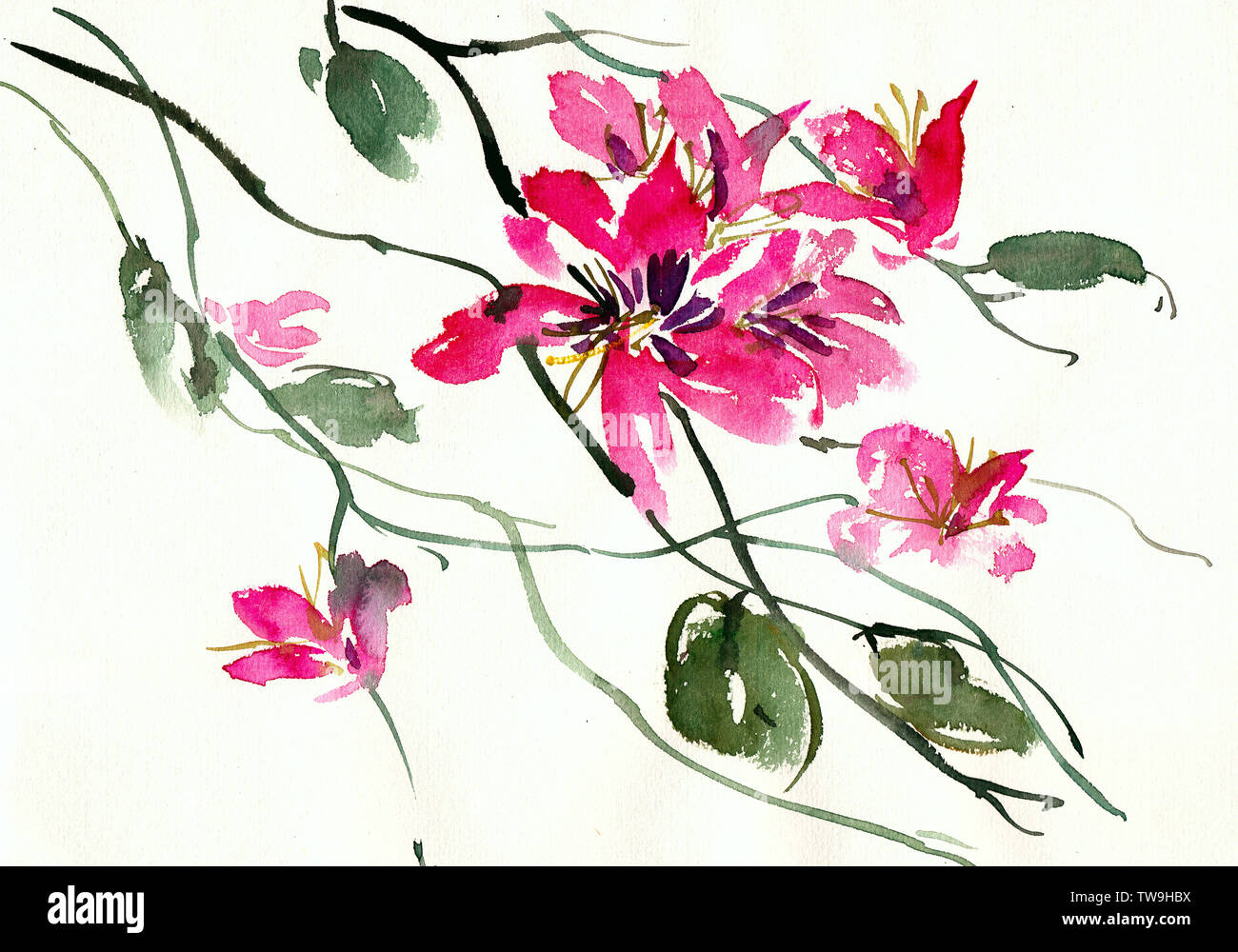 Chinese painting, flowers, purple, HD phone wallpaper