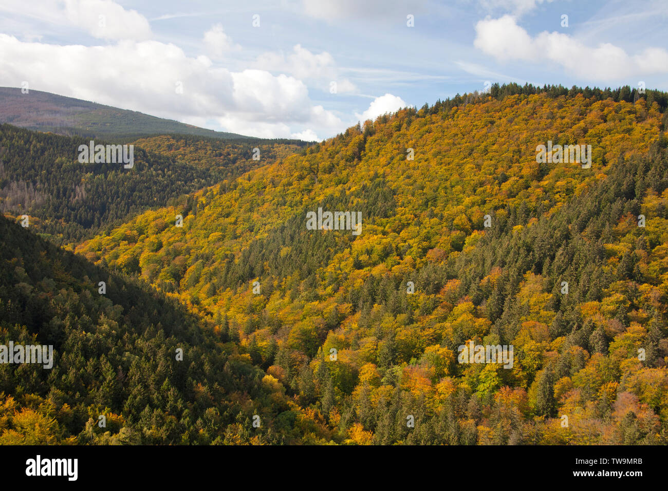 View from the Ilsestein into the Ilse Valley, Harz National Park, Saxony-Anhalt, Germany Stock Photo