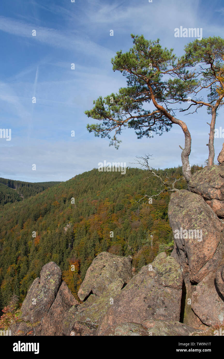 View from the Ilsestein into the Ilse Valley, Harz National Park, Saxony-Anhalt, Germany Stock Photo