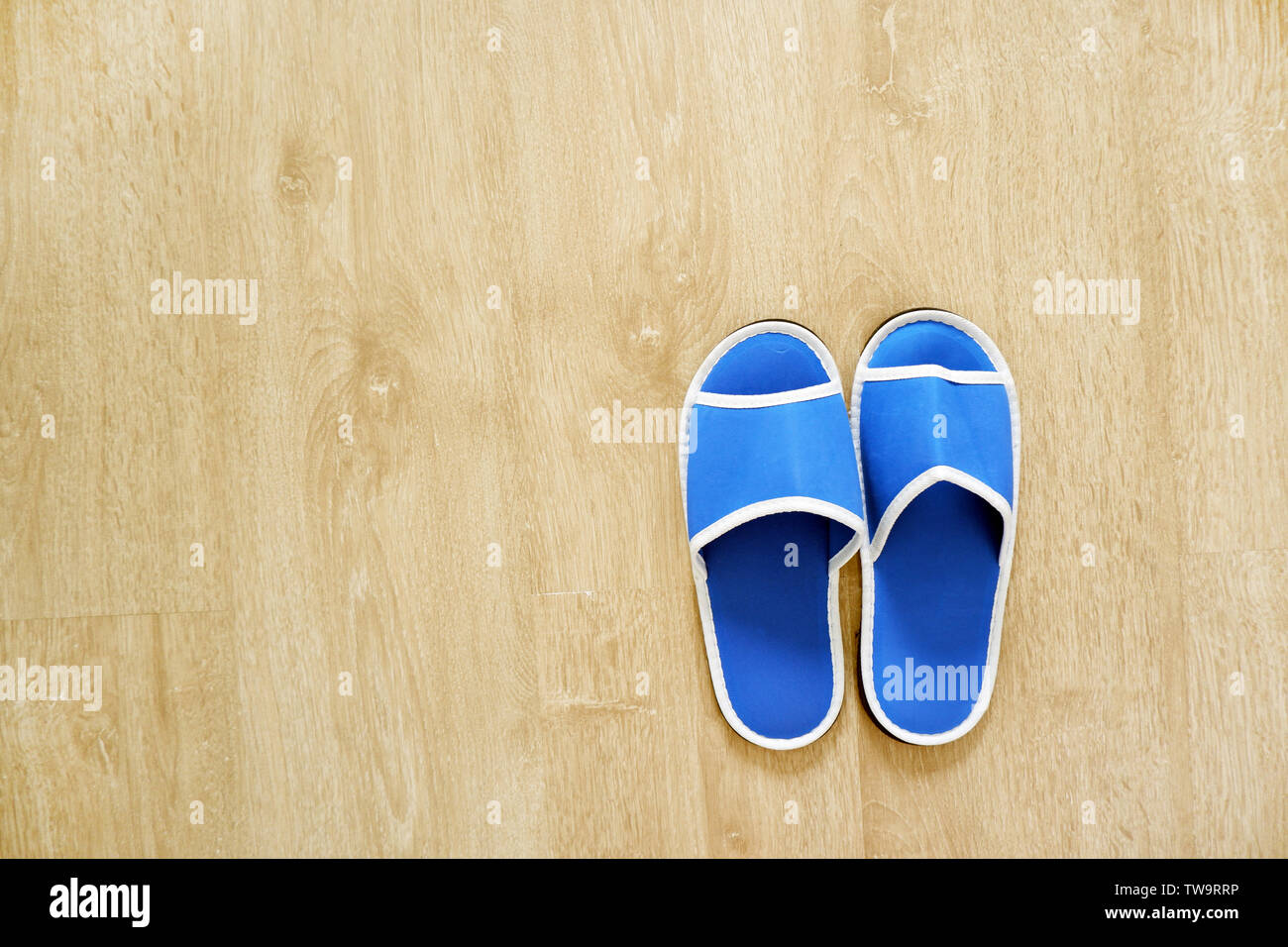 Pair Of Blank Blue House Slippers Isolated From Hotel Woman