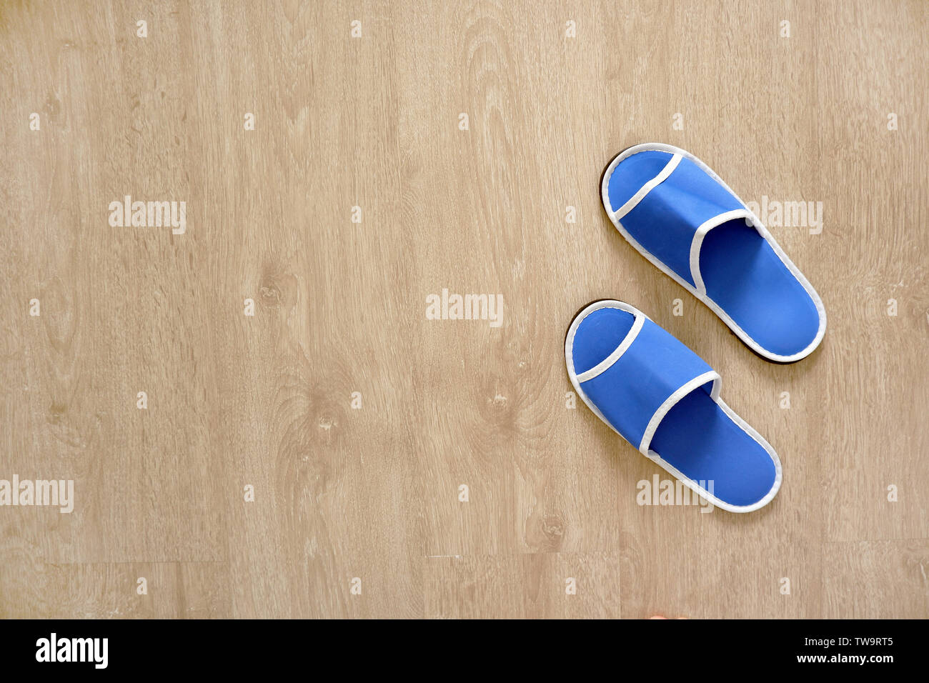 blue house slippers