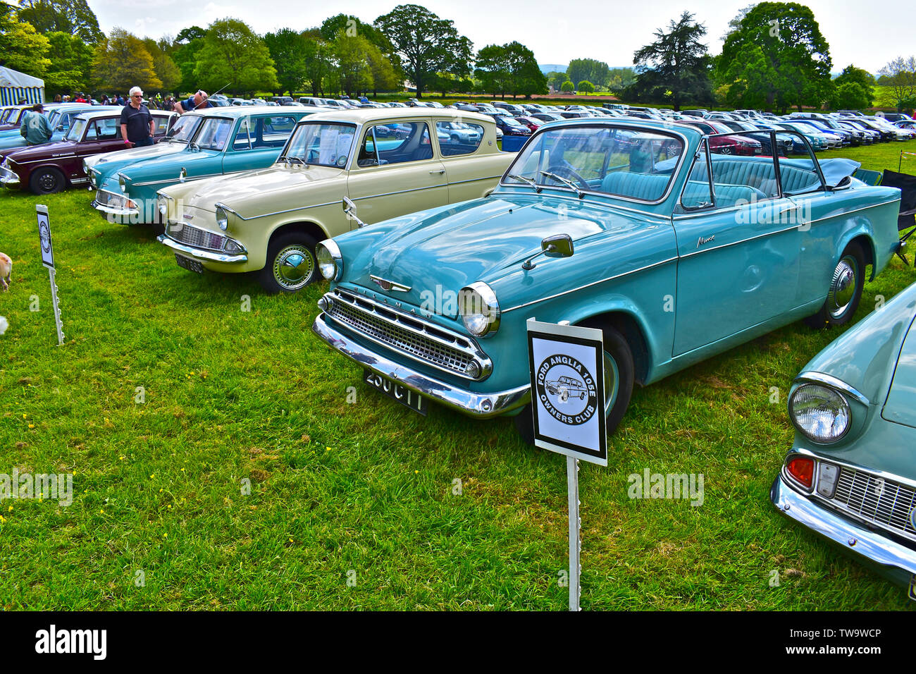 Classic car rally.Ford 105Es lined up at the owners club section of