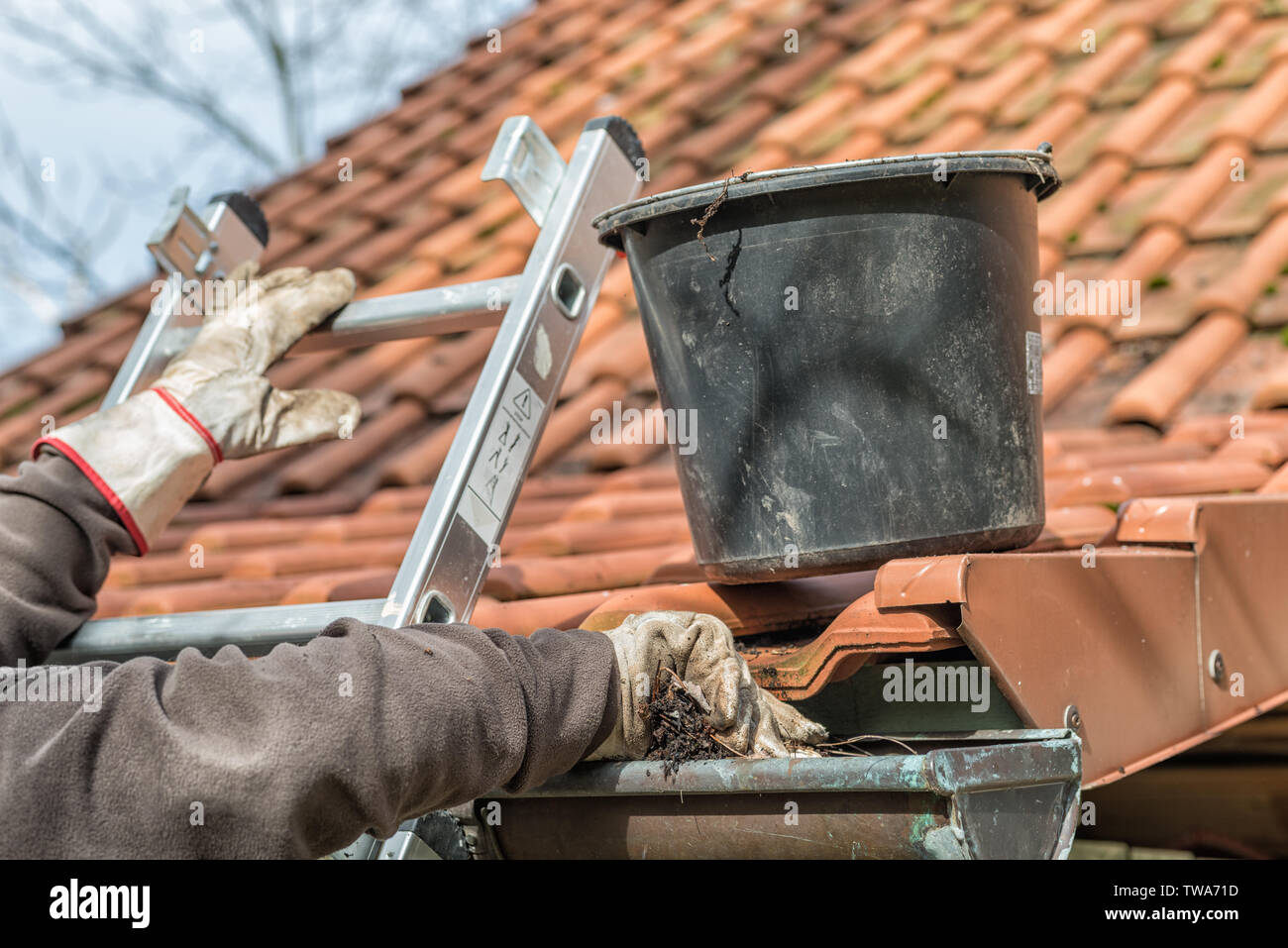 Man on a ladder cleaning house gutters Stock Photo - Alamy
