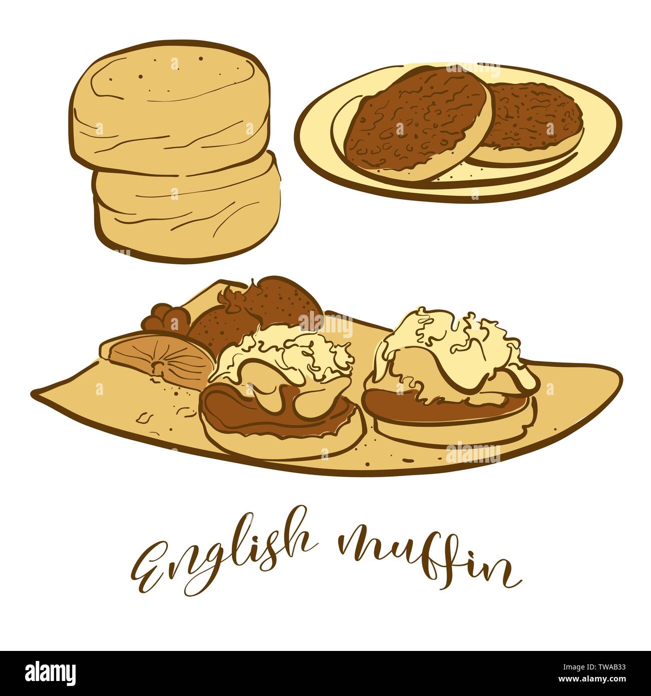 Colored sketches of English muffin bread. Vector drawing of Yeast bread ...