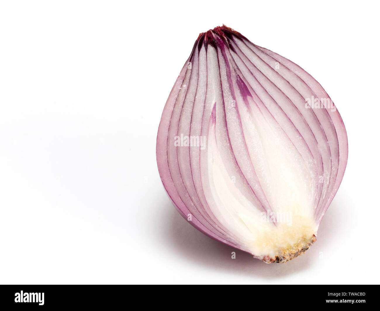 Cut in half red onion on white background Stock Photo - Alamy
