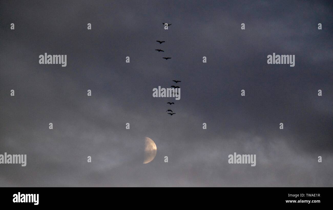 to be halfway through Stock Photo Alamy