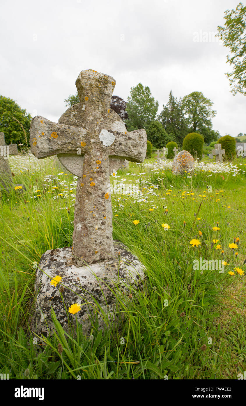 Old gravestones amid wildflowers in the graveyard of St Mary’s Church in the village of Thorncombe, Dorset England UK GB Stock Photo