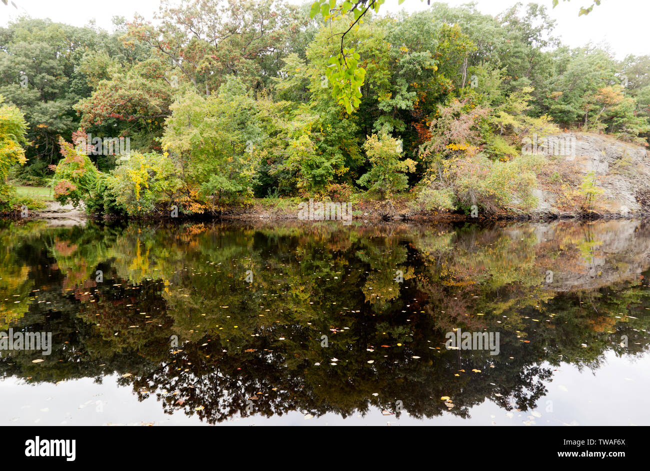 A view across the Charles River of the Hemlock Gorge Reservation, Stock Photo