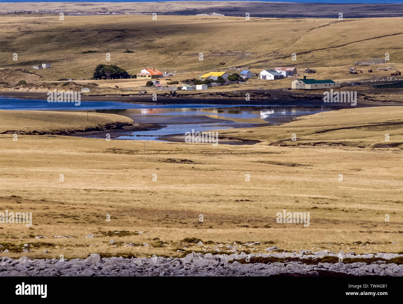 Bluff Cove Falkland Islands Hi Res Stock Photography And Images Alamy