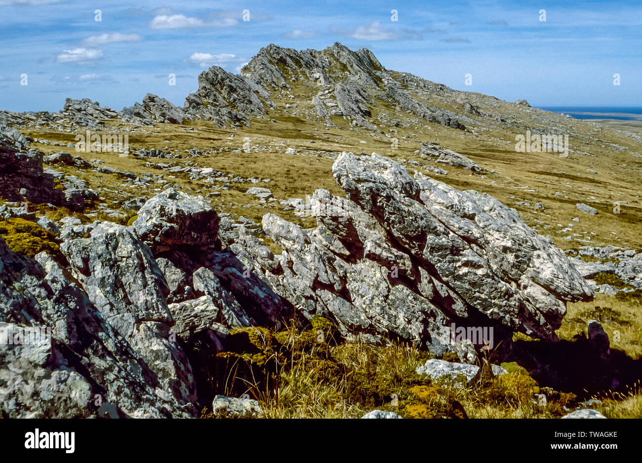 Mount tumbledown falkland islands hires stock photography and images