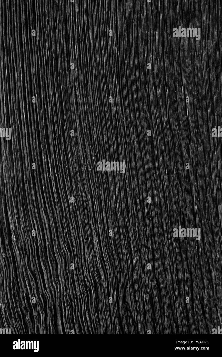 Texture in old black wood Stock Photo