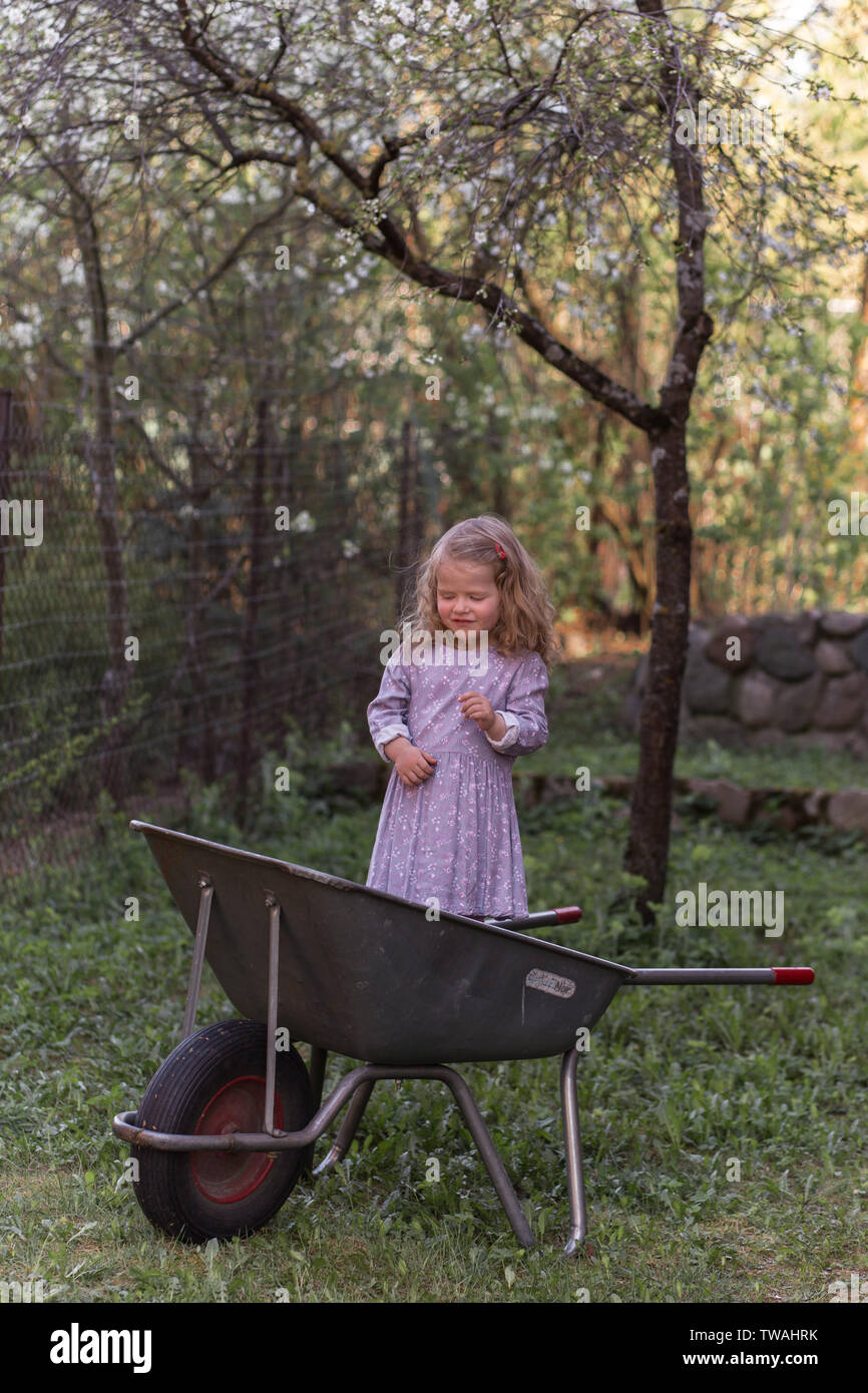Cute child, giggling, having summer fun and standing inside wheelbarrow, outside in a garden Stock Photo