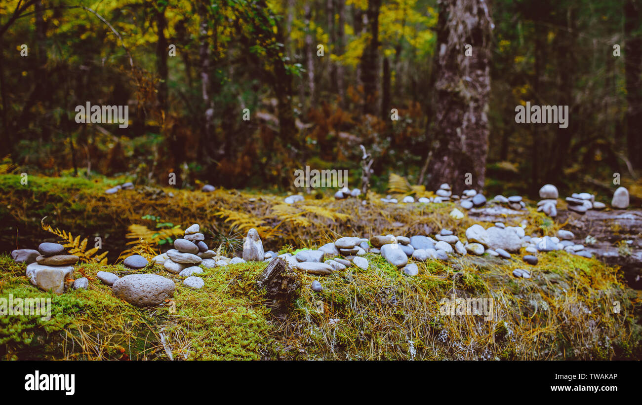 Pomigang cloud primitive forest, Tibet Stock Photo