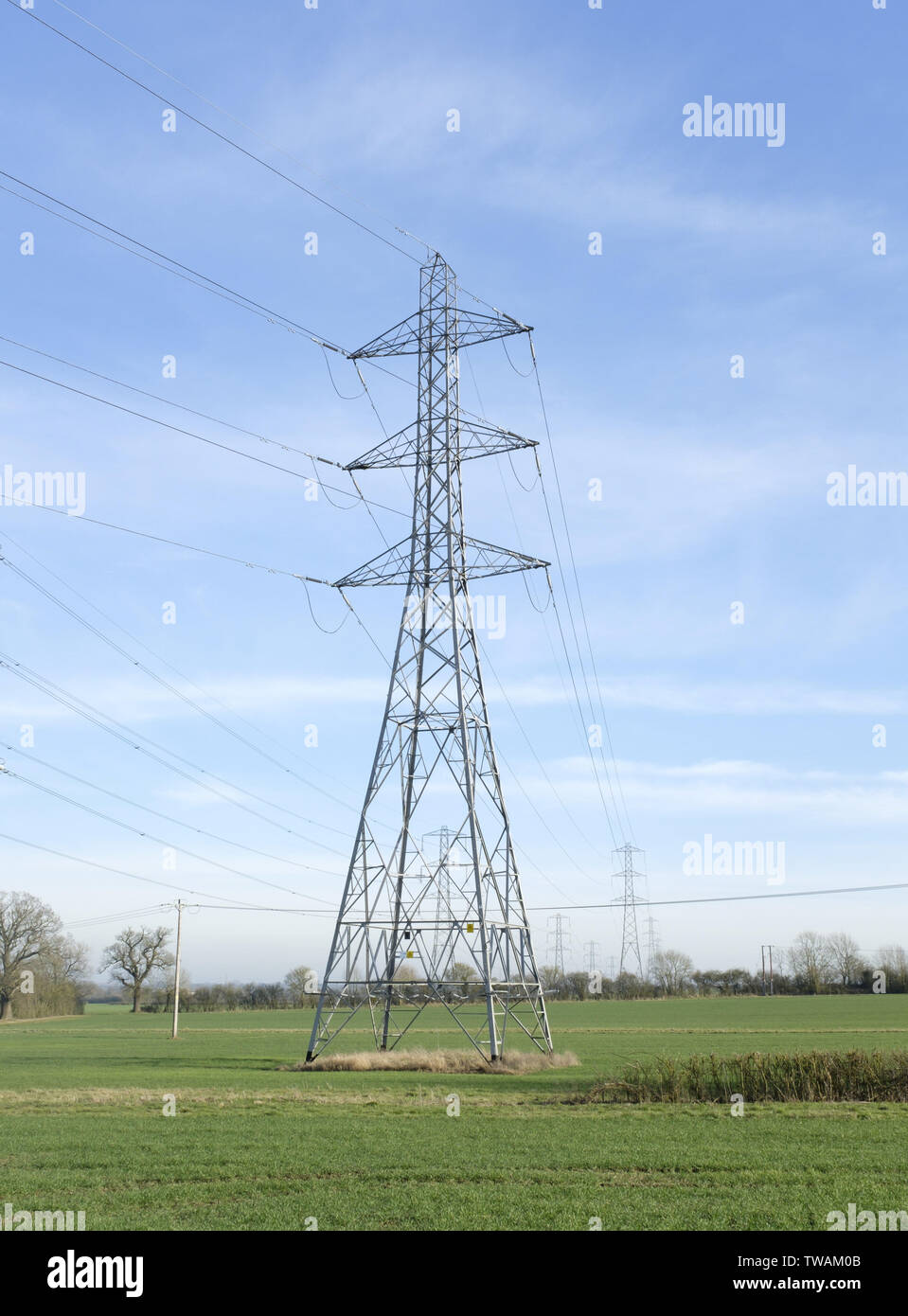Pylons uk field hires stock photography and images Alamy