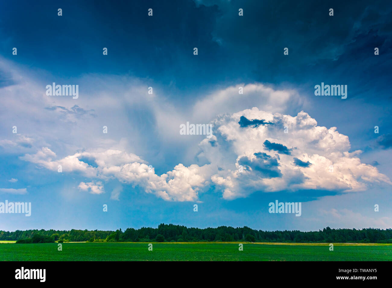 Cumulus storm clouds running across the sky Stock Photo