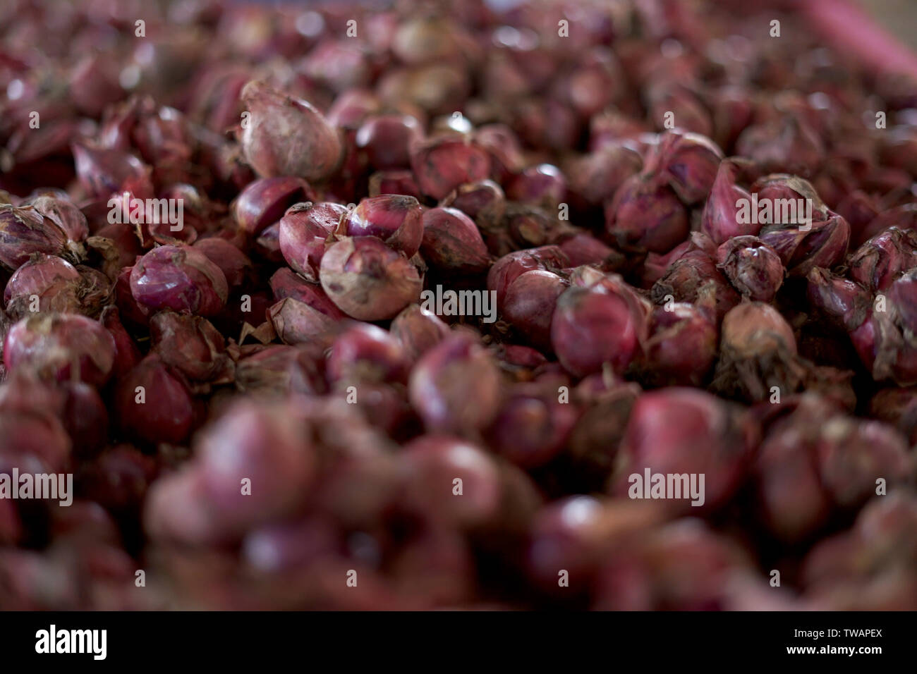 Onion cube hi-res stock photography and images - Alamy