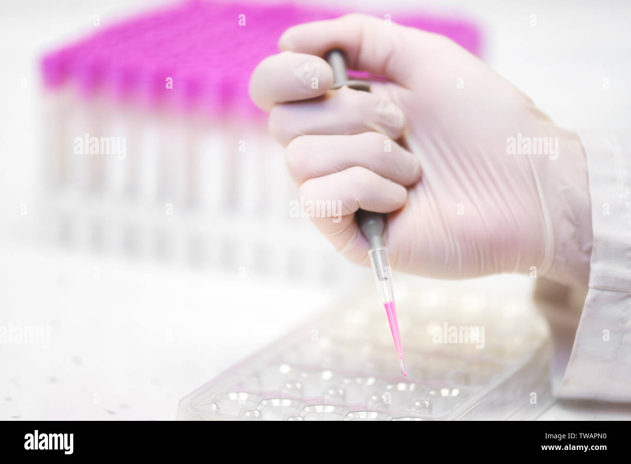 Close up scientist hand holding pipette making for biochemistry test at