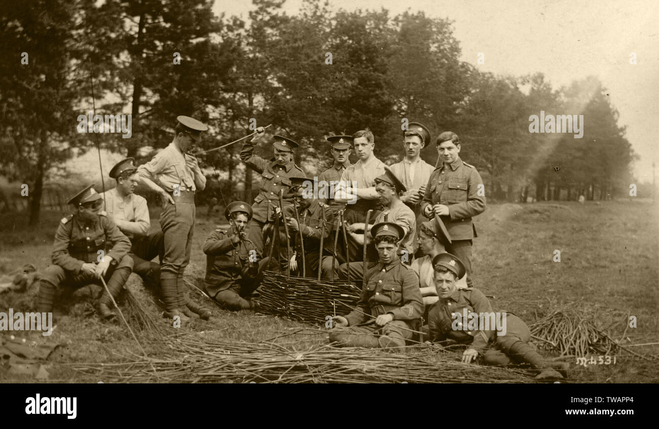 WW1. A rather scruffy looking battalion presumably undertaking a field-craft lesson in camouflage. They appear to be making a willow fence/hurdle possibly to help hide a gun emplacement or similar. A little more light hearted that the usual war photograph Stock Photo