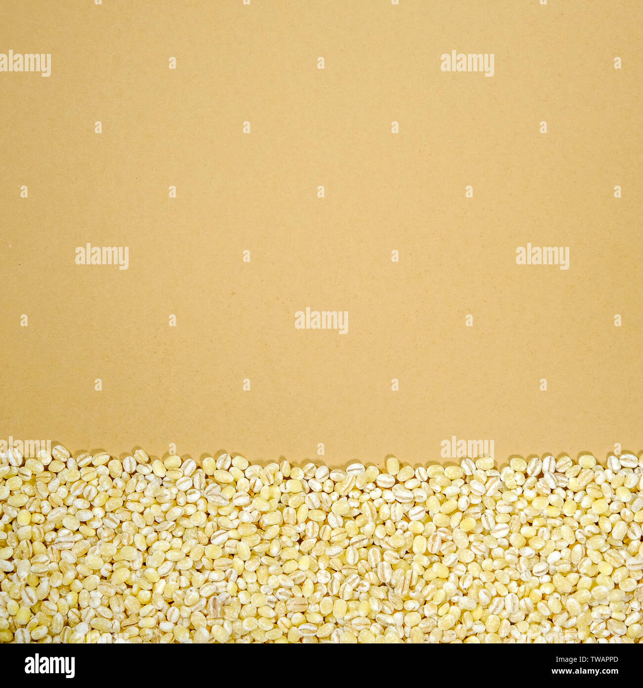 Pearl Barley Healthy Super Food Seeds or Grain With No People and Copy Space Stock Photo
