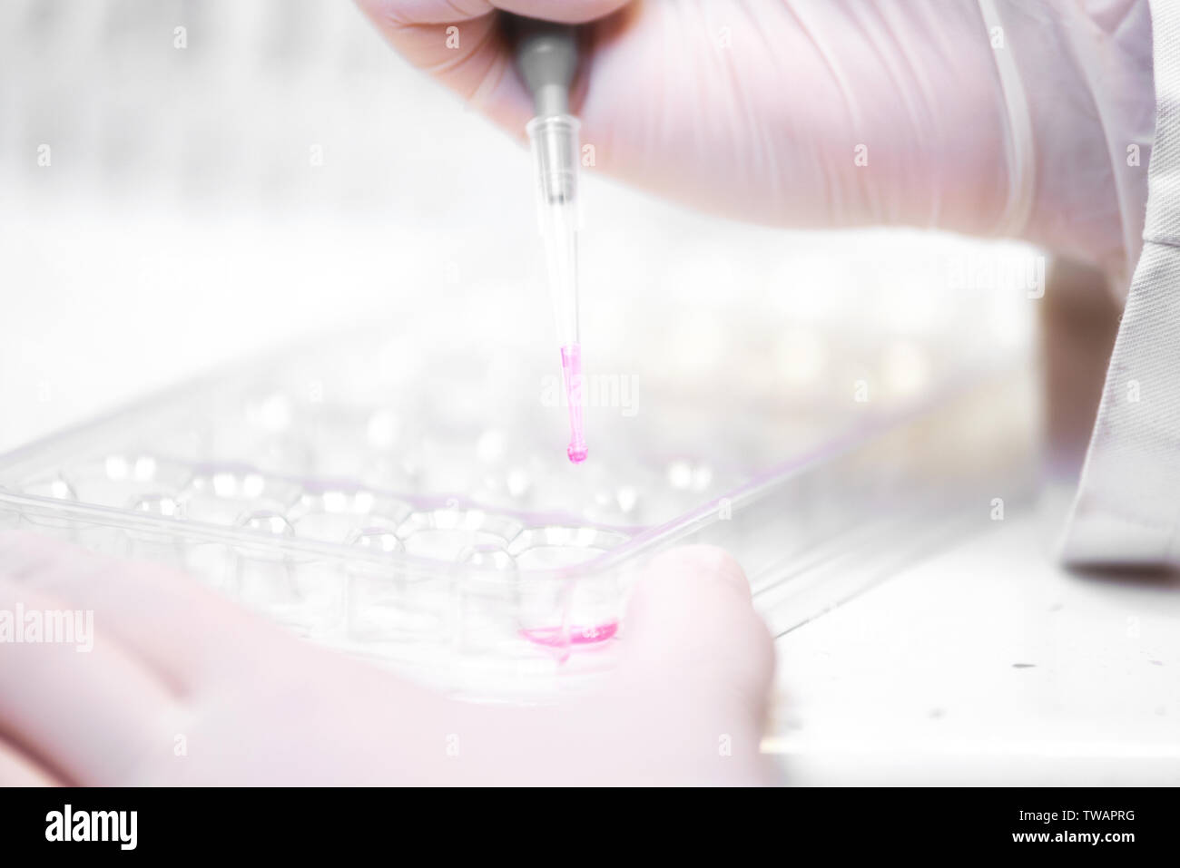 Close up scientist hand holding pipette making for biochemistry test at