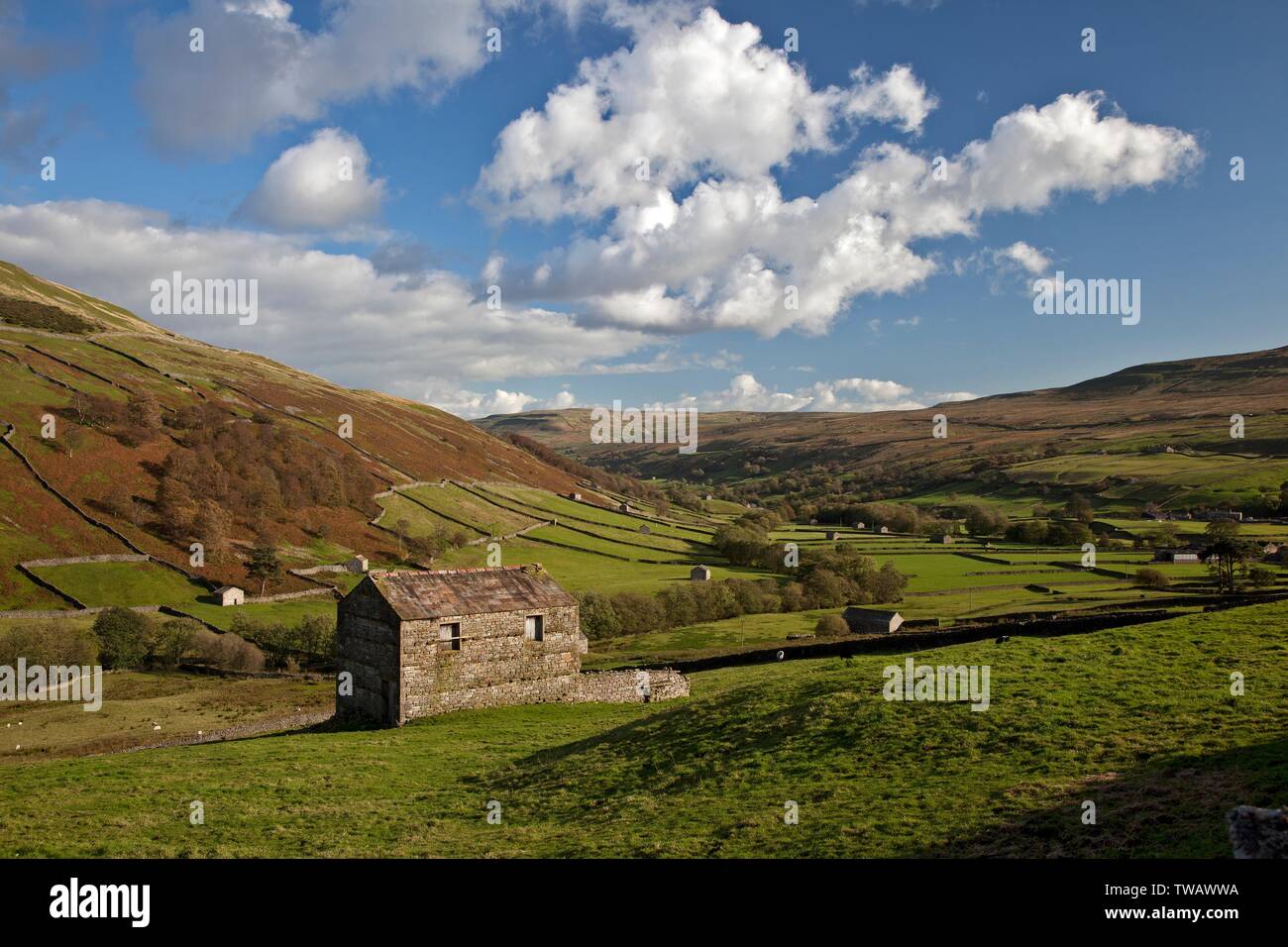 Great Britain, England, Thwaite, Yorkshire Dales N. Stock Photo