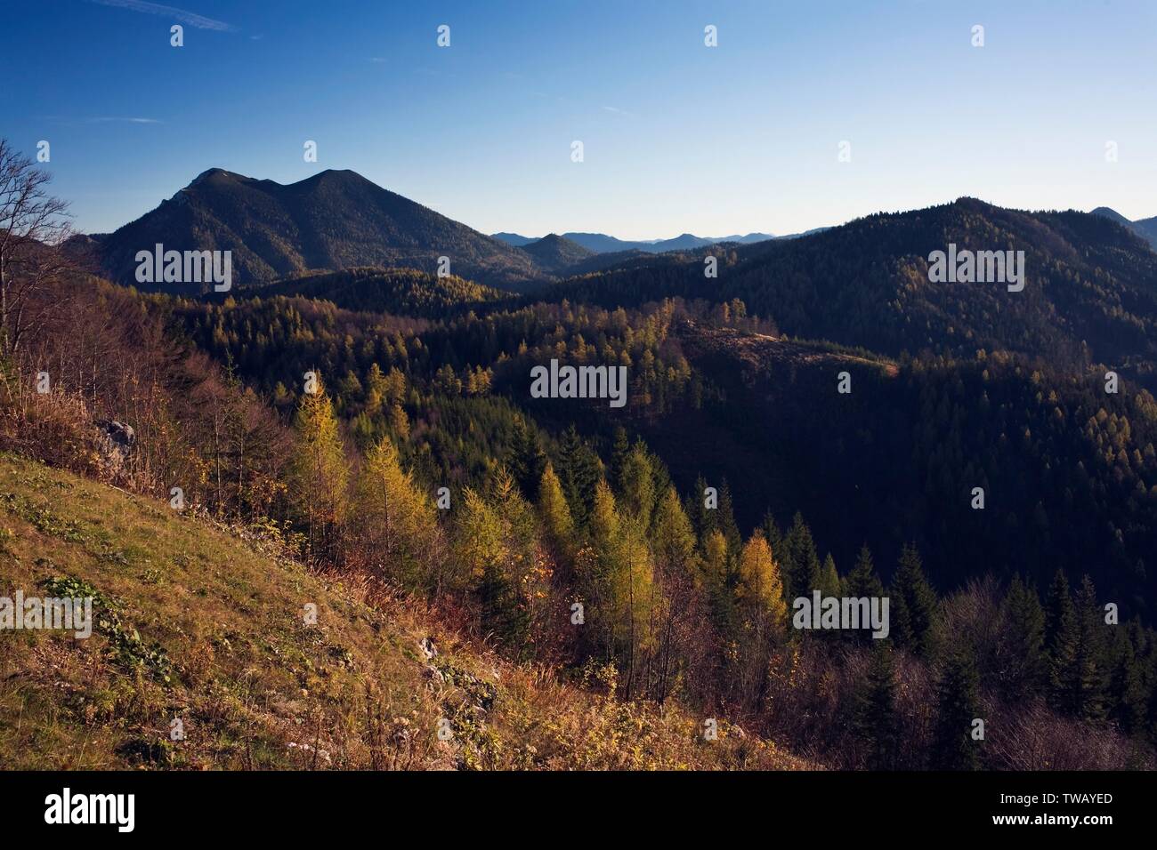 Austria, Upper Austria, Groesstenberg (peak) near Windischgarsten, national park L. Stock Photo
