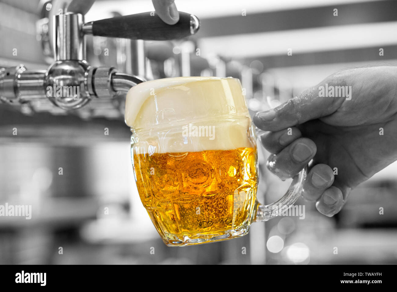 A man pouring draft lager beer into a dimpled glass mug  in a modern pub. Overflowing glass. Black and white background. Stock Photo
