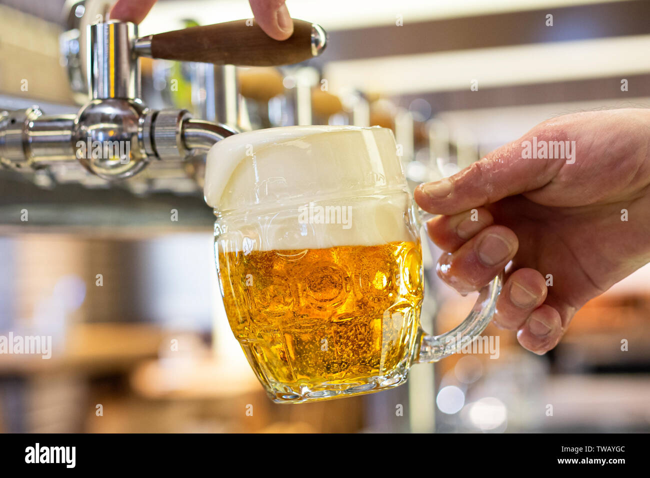 A man pouring draft lager beer into a dimpled glass mug  in a modern pub. Overflowing glass. Stock Photo