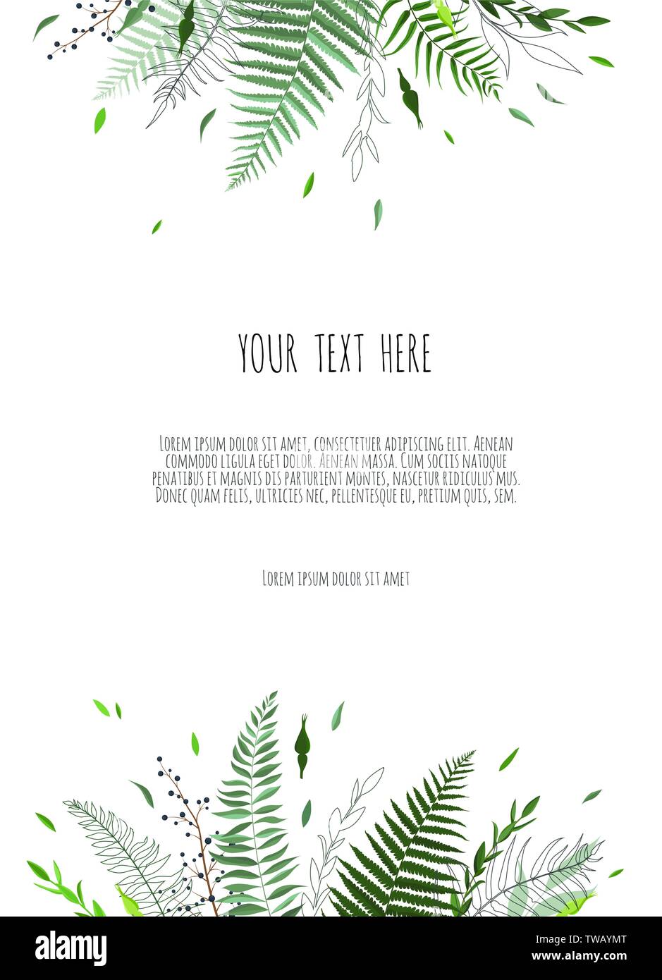 Green leaves border isolated on white background Stock Vector Image ...
