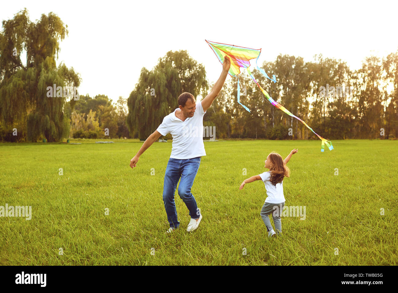 happy family father and child run on meadow with a kite in the summer on the nature Stock Photo